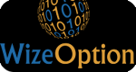 Wize Option Review