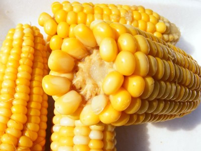 Corn Futures Trading